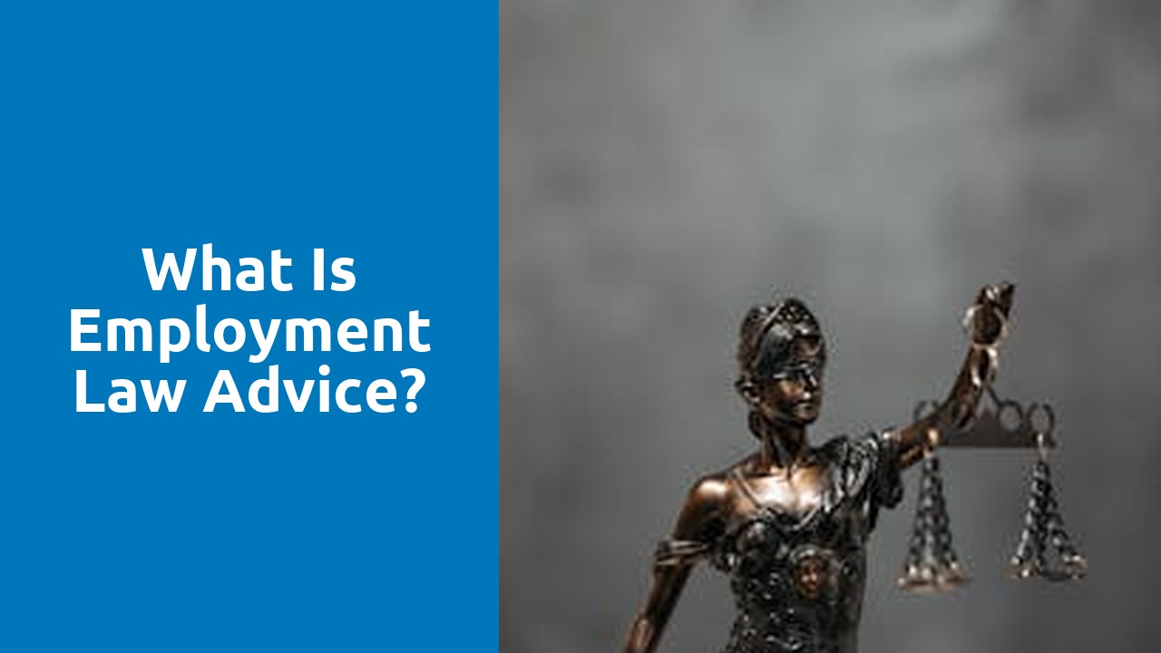 What is employment law advice?